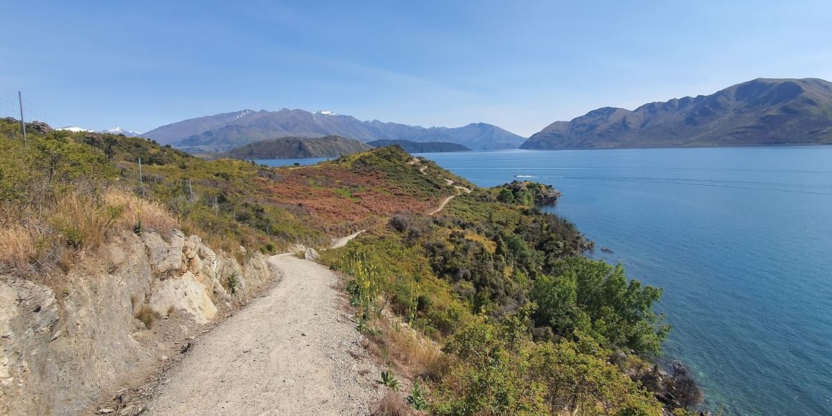 Glendhu Bay Track Walk in Wanaka, Copyright Freewalks.nz