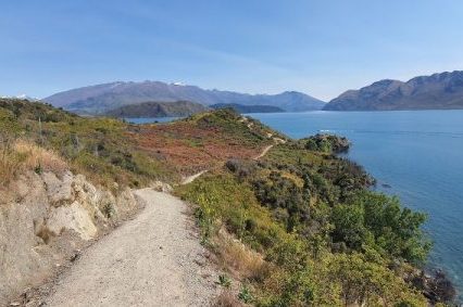 Main photos of Glendhu Bay Walk from Wanaka, Copyright Freewalks NZ (5)