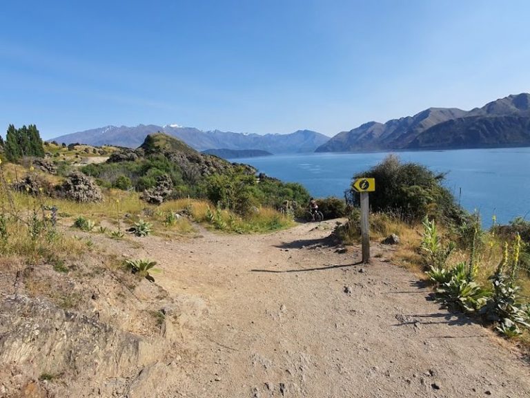 Thrid look out point on Glendhu Bay walk, Wanaka, Copyright Freewalks NZ (1)