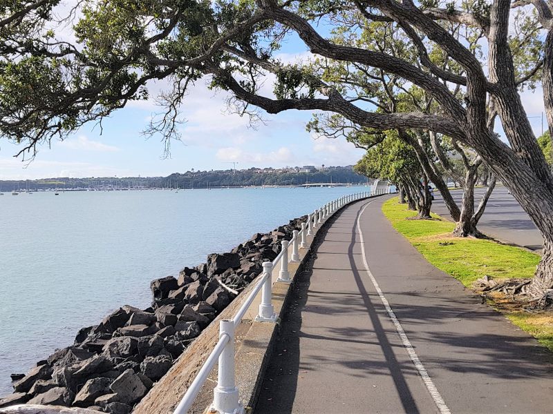 Walk to Mission Bay along the waterfront in Auckland, Copyright Freewalks NZ