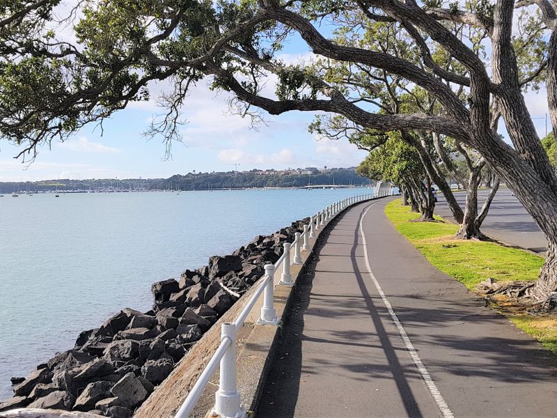 hiking tour auckland