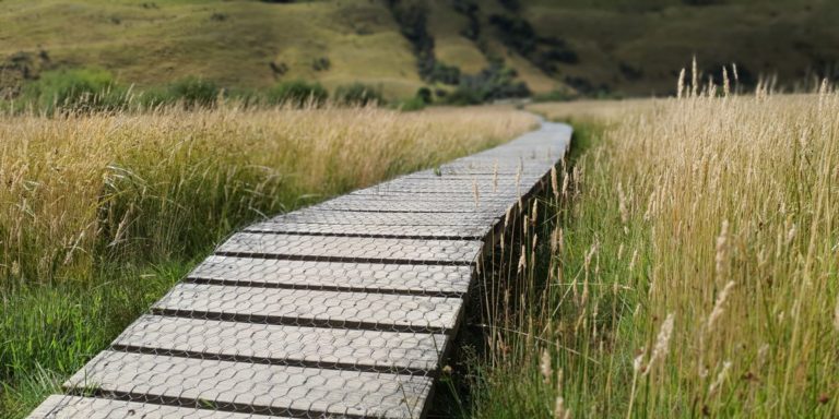 Boardwalk and styles to climb at Moke Lake Queenstown - Copyright Freewalks NZ