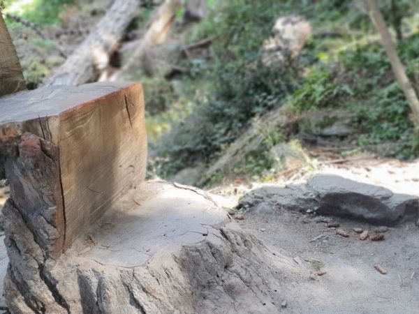 Chair carved out of pine on the Tiki Trail in Queenstown - Copyright Freewalks NZ_800x600