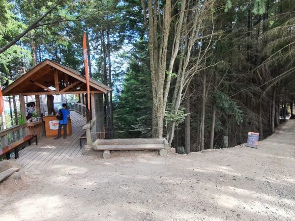 Entrance to the Zip Line on the Tiki Trail in Queenstown - Copyright Freewalks NZ_800x600