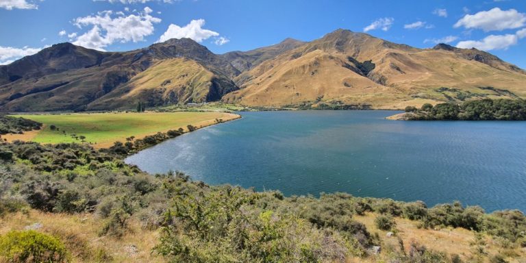 First piece of the walk around Moke Lake - Copyright Freewalks NZ