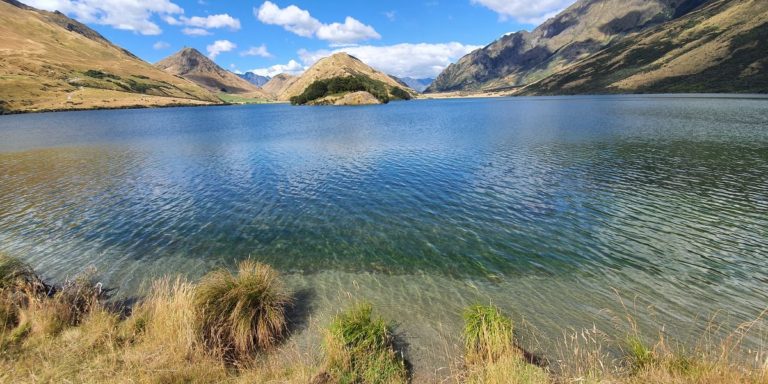 First piece of the walk around Moke Lake - Copyright Freewalks NZ