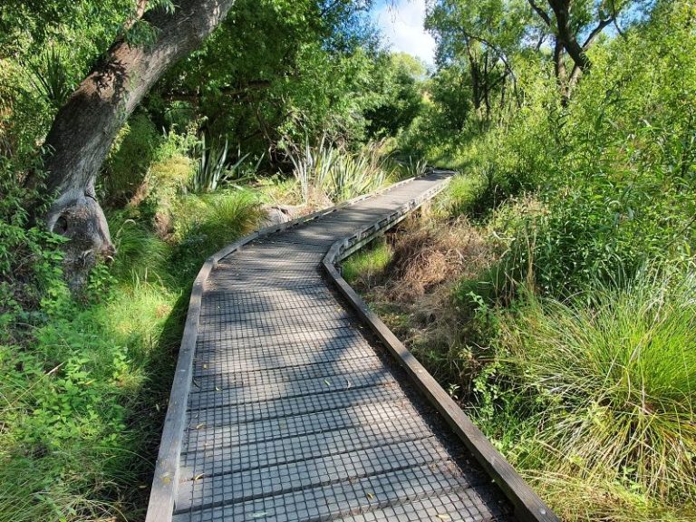 Lake Hayes Walkway boardwalk - Copyright Freewalks NZ_800x600