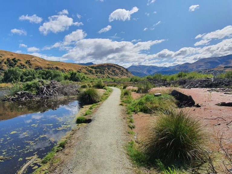 Lake Hayes Walkway wetlands - Copyright Freewalks NZ_800x600