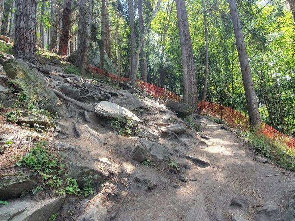 Steep walking up the Tiki Trail in Queenstown 2 - Copyright Freewalks NZ_800x600