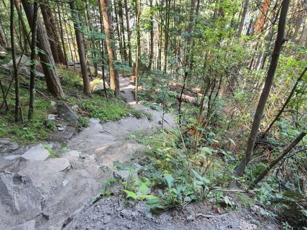 Steep walking up the Tiki Trail in Queenstown 4 - Copyright Freewalks NZ_800x600