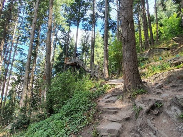 Steep walking up the Tiki Trail in Queenstown 2 - Copyright Freewalks NZ_800x600