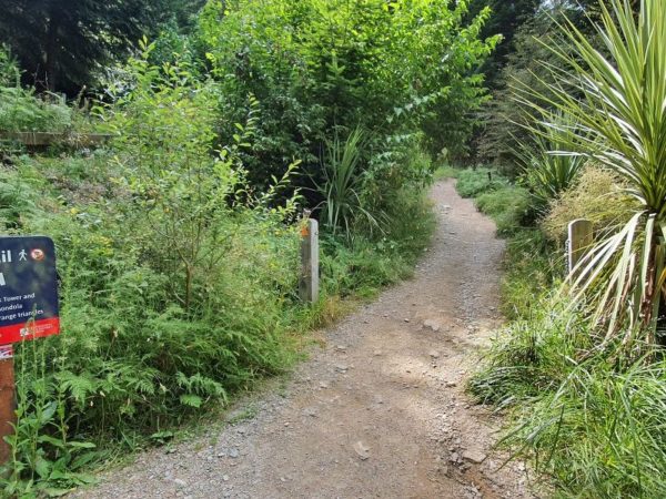 Steep walking up the Tiki Trail in Queenstown nearly there - Copyright Freewalks NZ_800x600