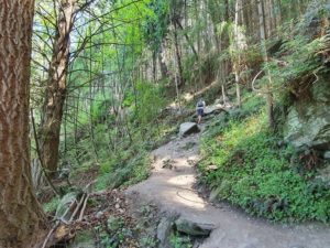 Tiki Track in Queenstown - beginning of the walk - Copyright Freewalks NZ