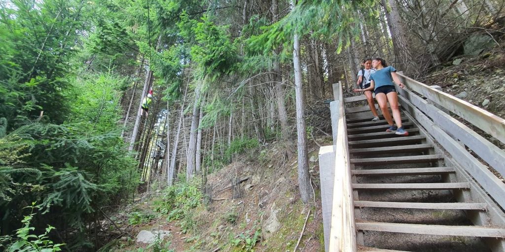 Watching the zip line over the top of the Tiki Trail in Queenstown - Copyright Freewalks NZ_1200x600