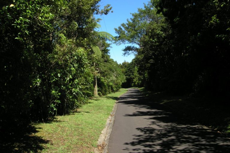 Road down to the Waitakaere Dam