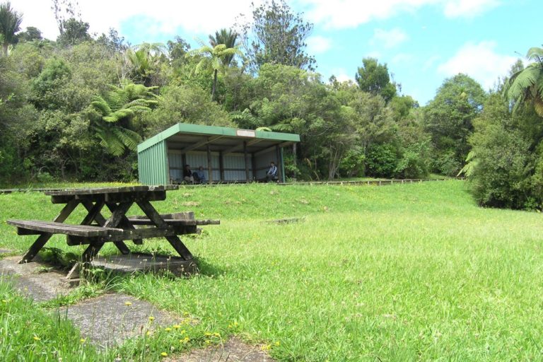 Shelter on the Waitakere Dam walk