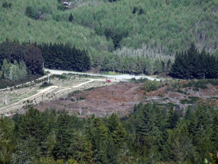 Looking down to the Kerosene Creek Hot Pools Car Park