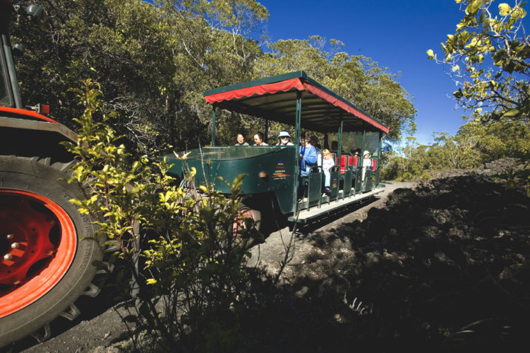 4x4 Road-train tour of Rangitoto Island to the summit