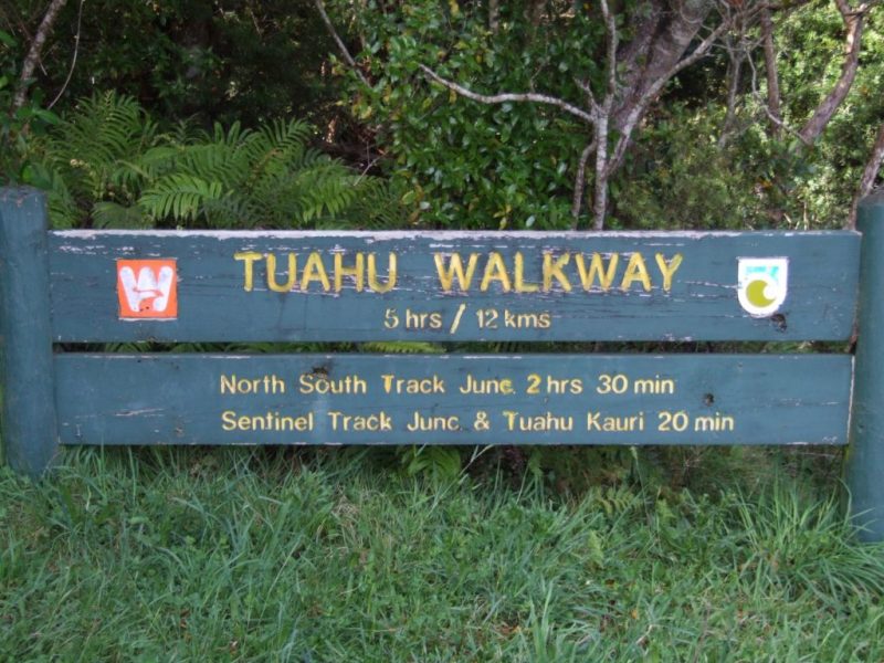 Start of the walk, Tuahu track