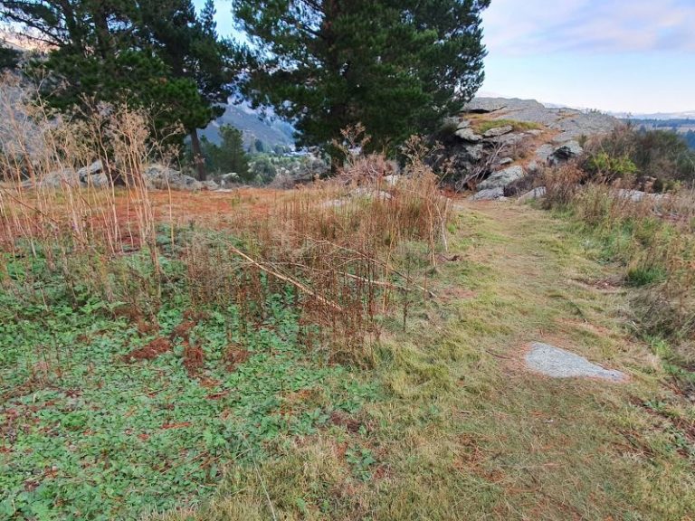 Point 2 - Frog Rock Lookout on the Grovers Hill Walk in Roxburgh - Copyright Freewalks.nz