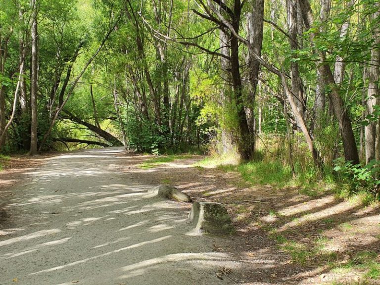 Point 2 - Walking in the shade on the Arrowtown Anniversary walk