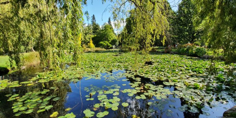 Queenstown Botanical Gardens walk - Copyright Freewalks NZ