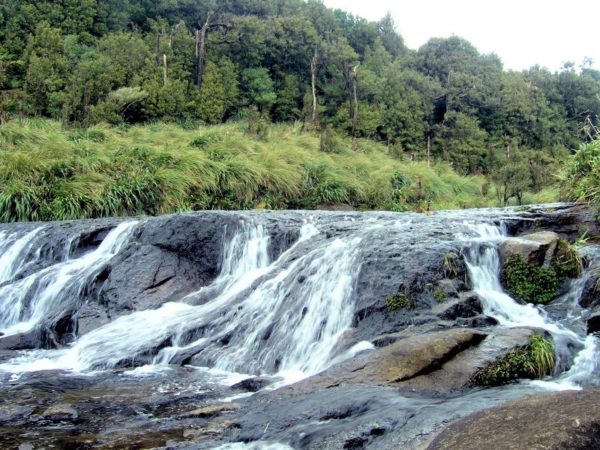 Wairere Falls in Matamata - Copyright Freewalks.nz