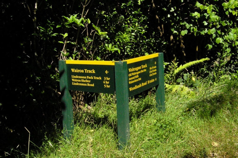 Ananui Falls Walk