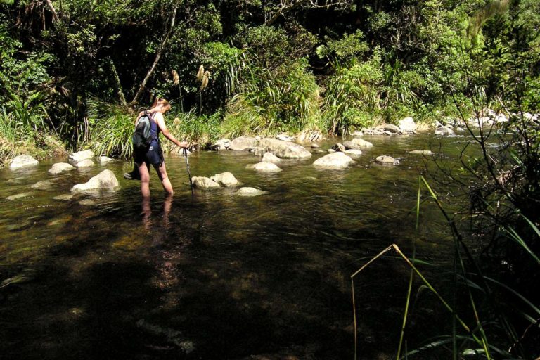 Ananui Falls Walk