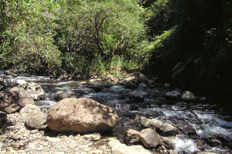 Waitengaue River crossing