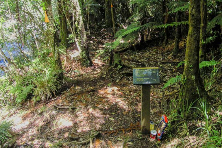 Turn off to Ananui Falls Track