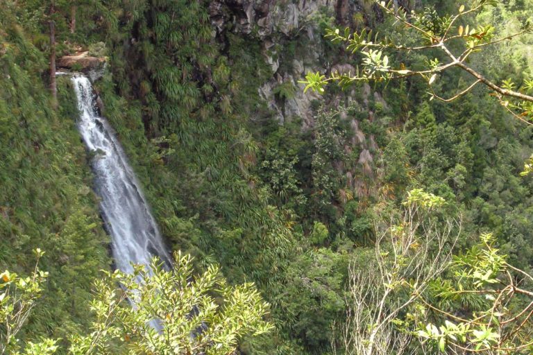 Ananui Falls Walk