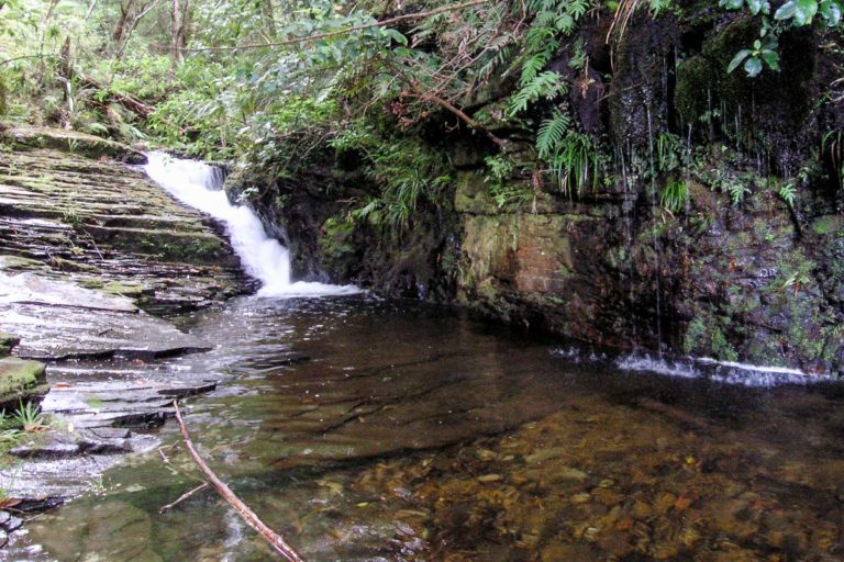 Ananui Falls Walk