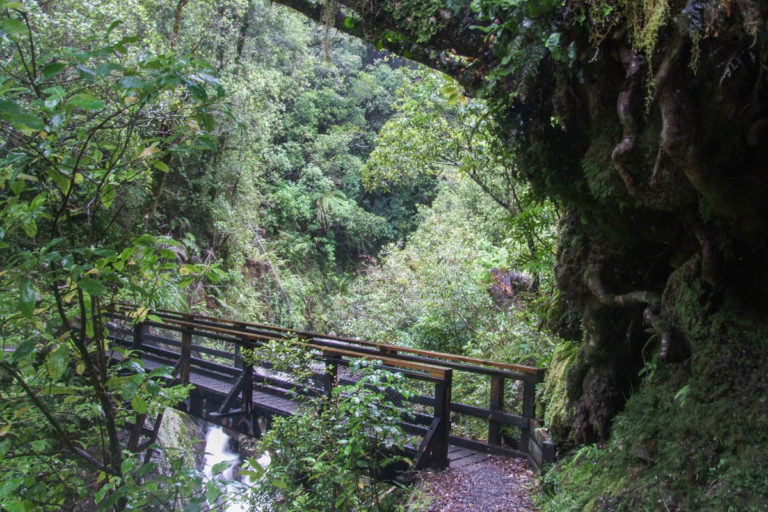 Atiwhakatu Hut Walk
