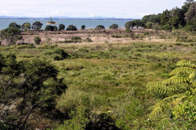 Awhitu Regional Park Walk