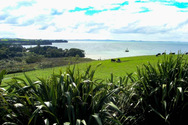 View from the lookout