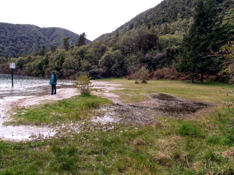 Open ground on the Blue Lake walk from Rotorua