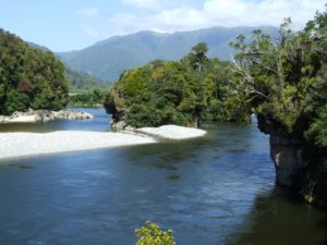 Hector walks and hiking, West Coast, South Island, New Zealand - Chasm Creek Walk -Copyright Freewalks.nz