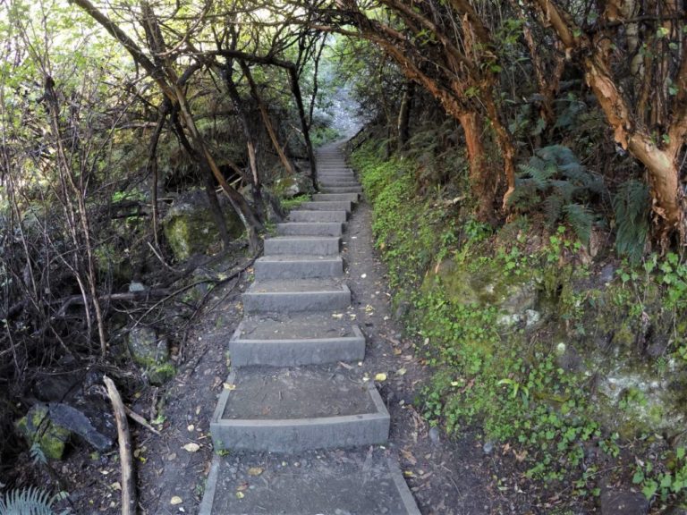 Lots of steps to walk up on the way to Lake Wanaka Lookout