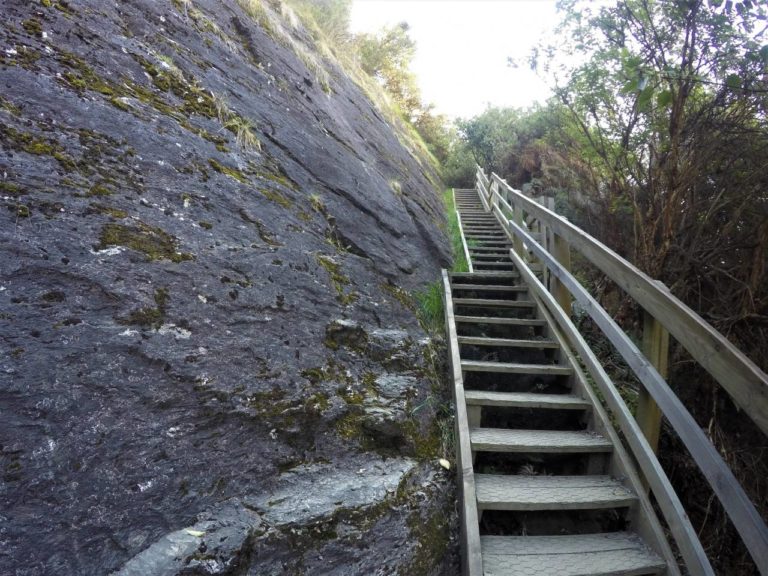 More steps on the way to Lake Wanaka Lookout