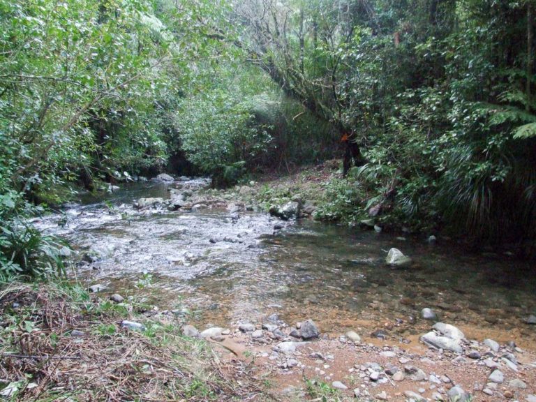 Waitekohe creek