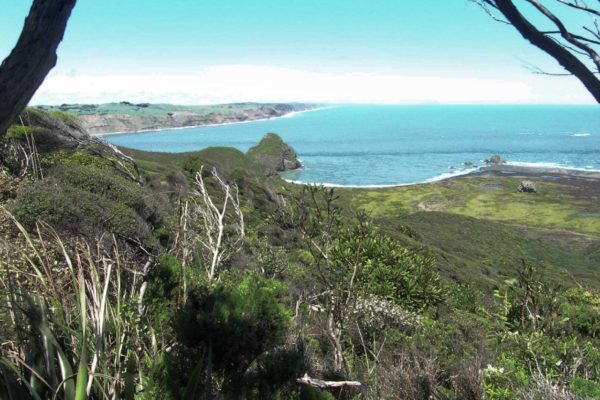 Manukau Entrance