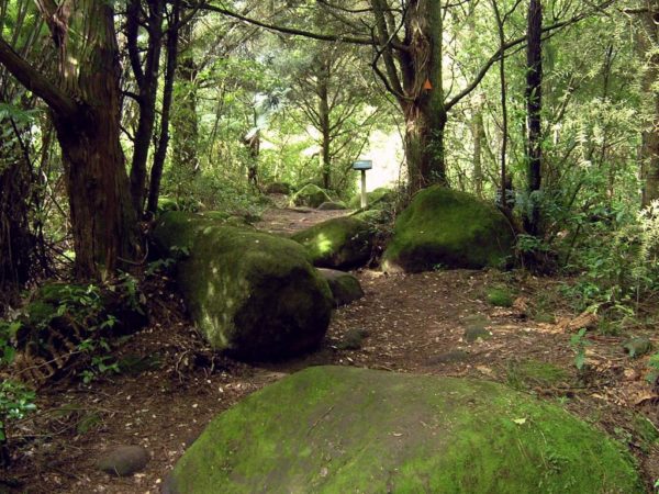 Good quality track to the Wairere Waterfalls