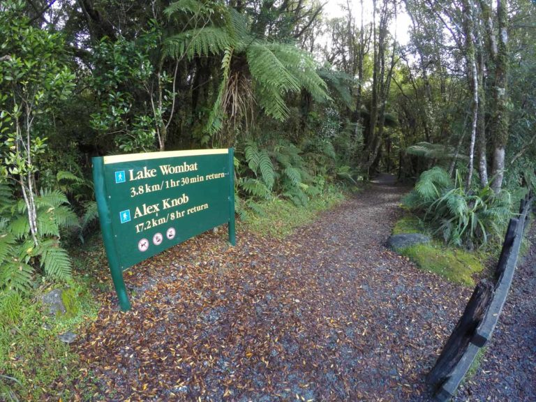 The start of Lake Wombat Walk