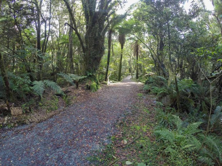 Lake Wombat Walk