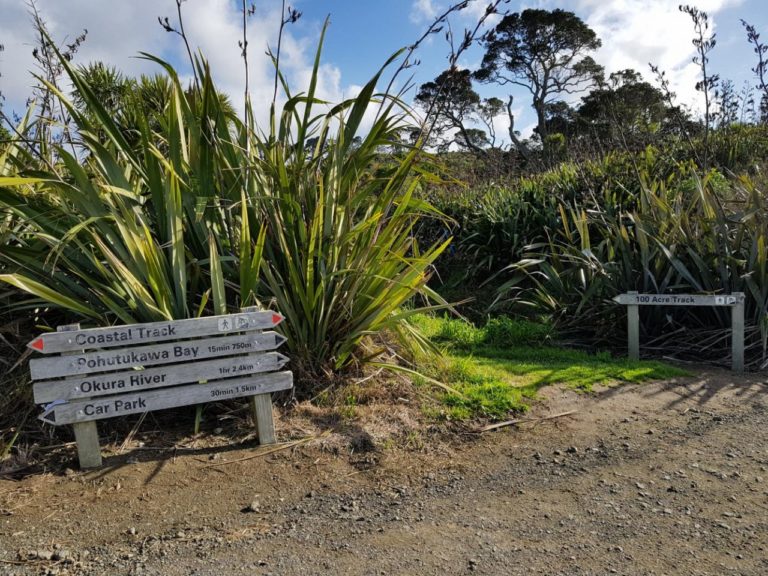 20 mins into the coastal track and you'll be at Grannys Bay Beach