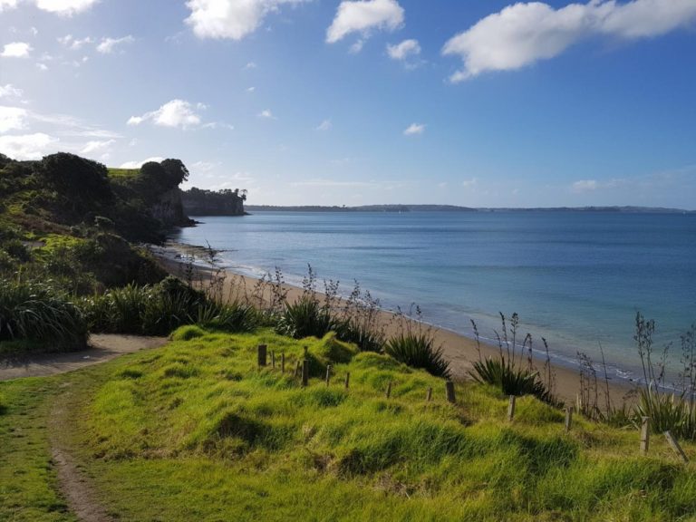 Views of Grannys Bay Beach as you walk down to it on the Coastal Track at Long Bay