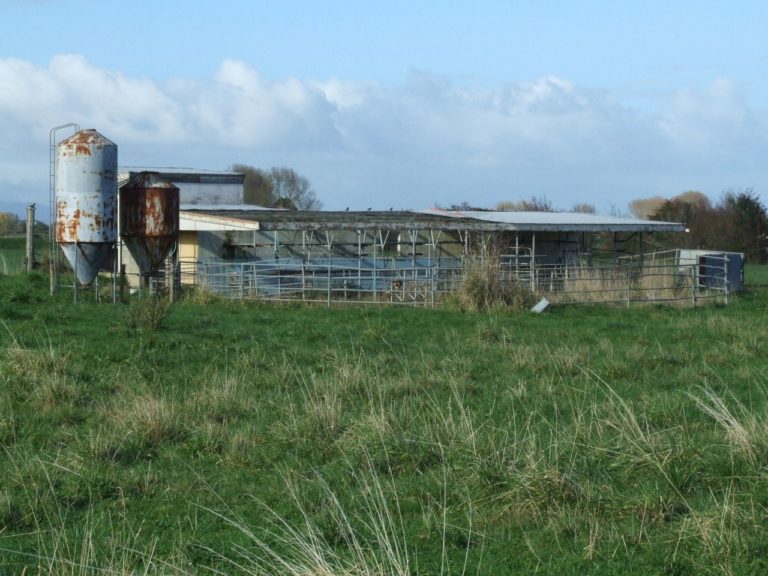 Very old milking Shed