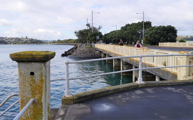 Hobson Bay bridge for great fishing in Auckland