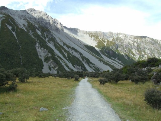 Excellent wide walking track at the start of the Hooker Valley walk